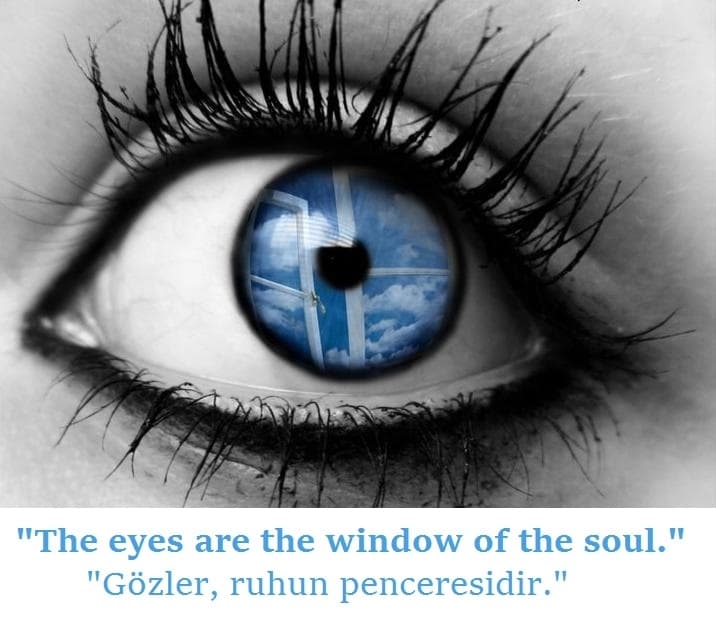 The eyes are the windows to your soul. Gözler, ruhun penceresidir.