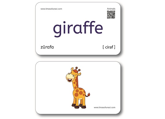 İngilizce Kelime Kartları - English Words - Animals/Hayvanlar