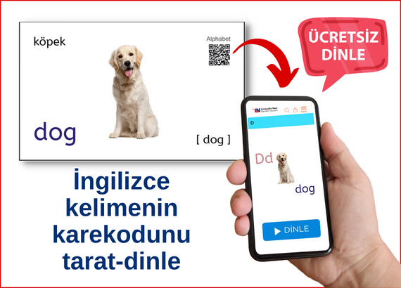 Çocuklar için İngilizce Kelime Kartları - English Words - 3 lü Takım